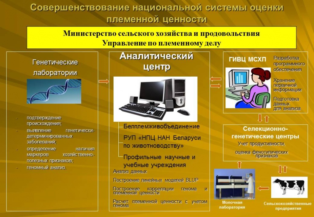 slide3.JPG