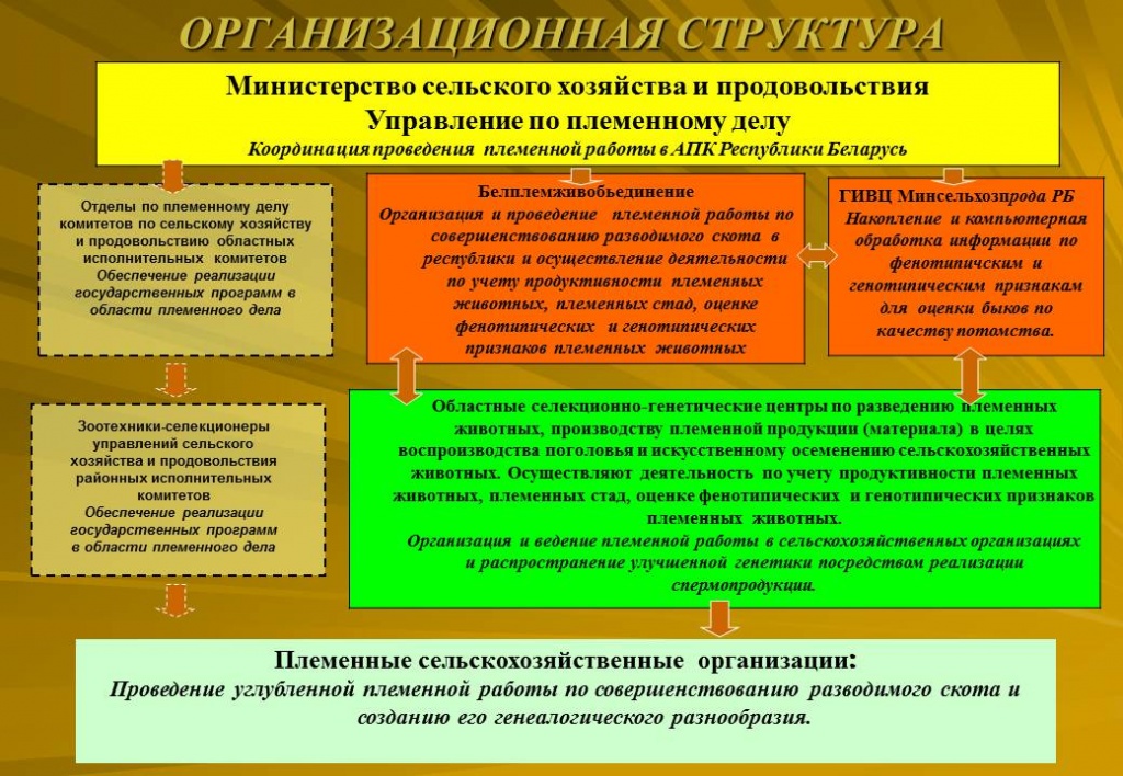 slide1.JPG