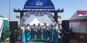  -2019